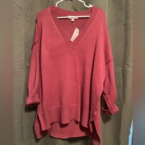 NWT V-neck Sweater